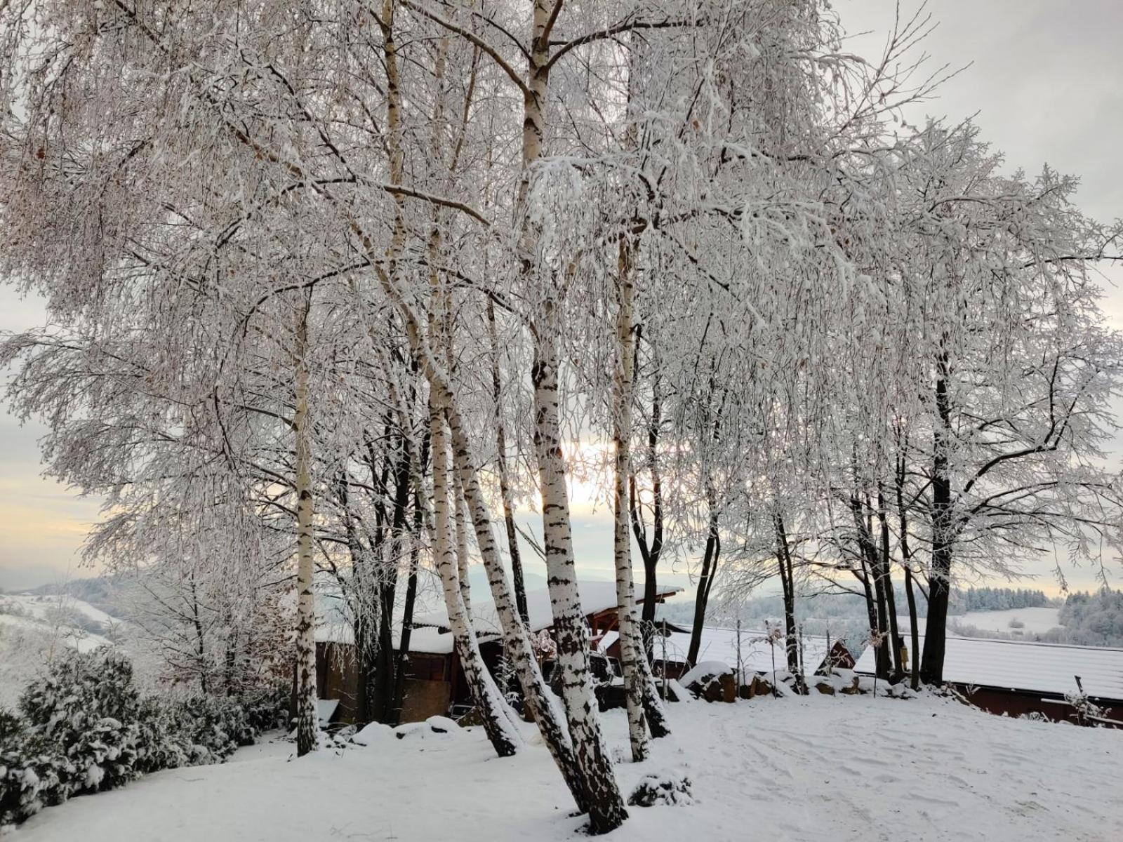 Agroturystyka Faron Rozdziele Buitenkant foto