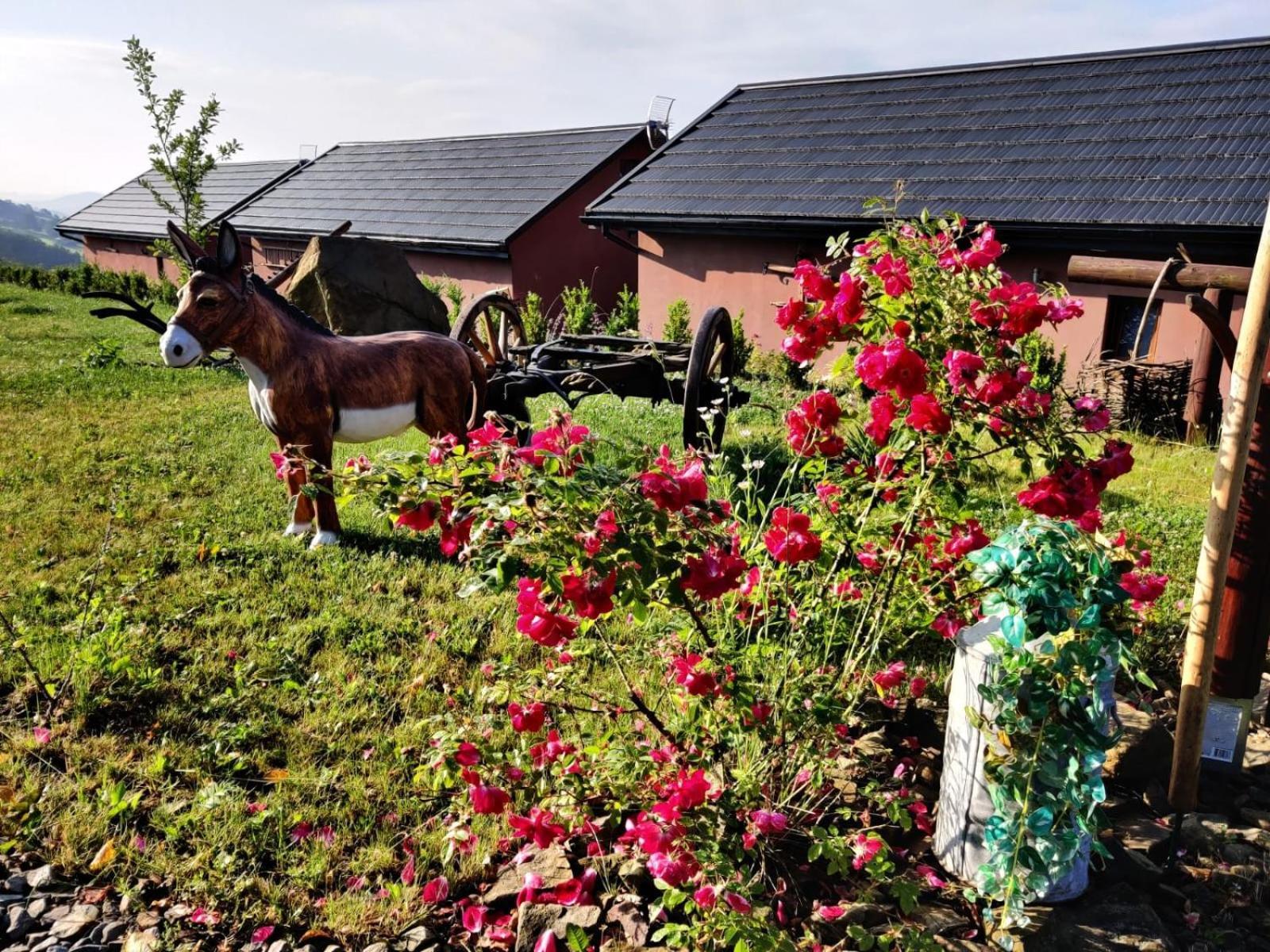 Agroturystyka Faron Rozdziele Buitenkant foto