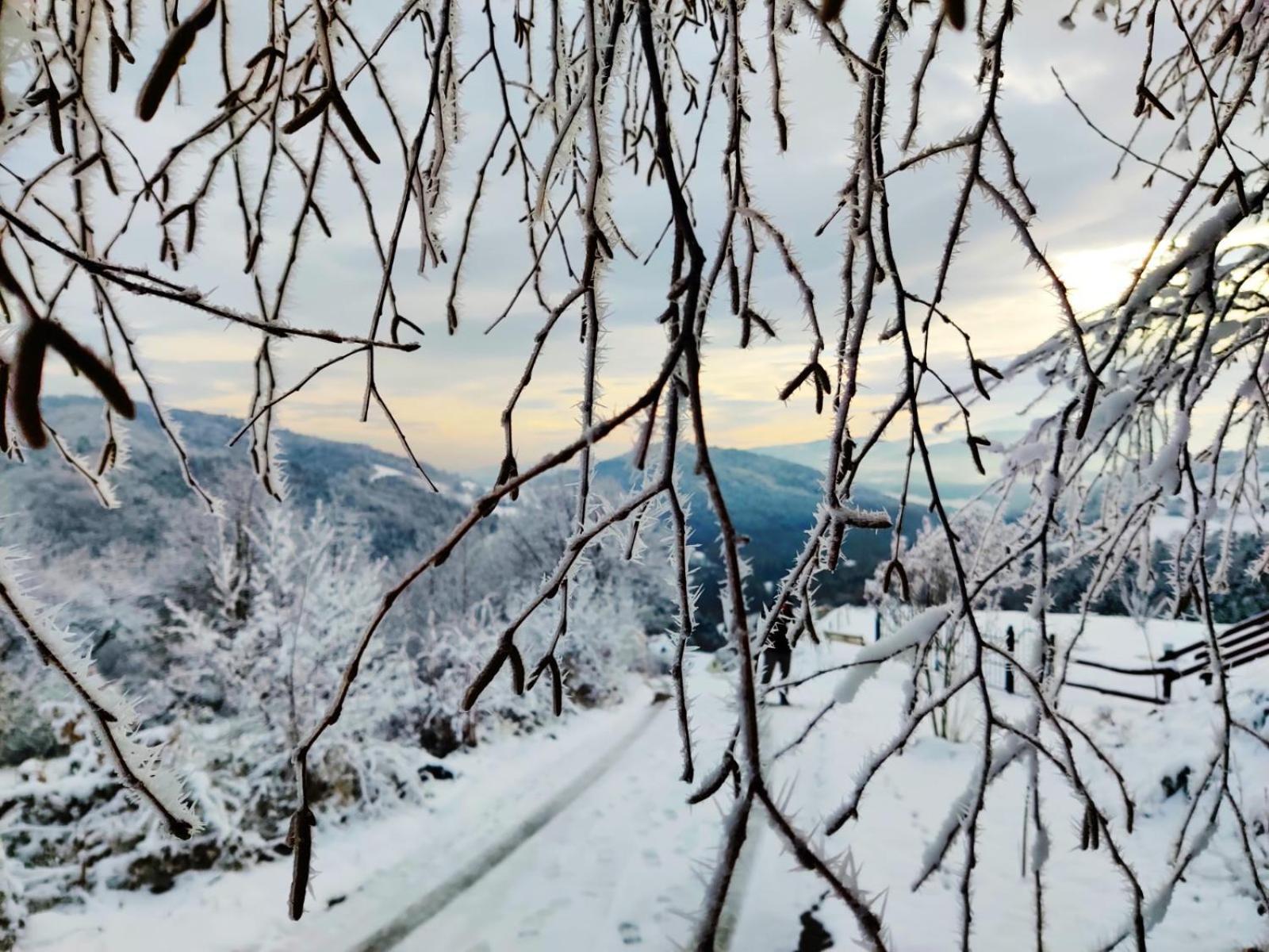 Agroturystyka Faron Rozdziele Buitenkant foto